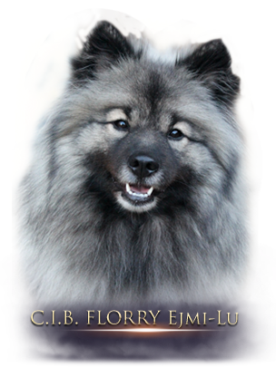 florry