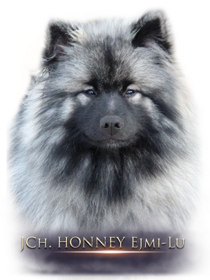 HONNEY Ejmi-Lu Německ&yacute; &scaron;pic vlč&iacute; / Keeshond