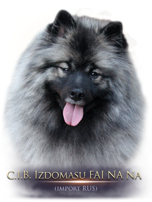izdomasu