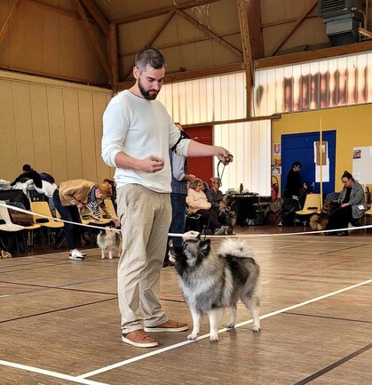 Ejmi-Lu Německ&yacute; &scaron;pic vlč&iacute; / Keeshond