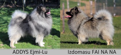 H Ejmi-Lu