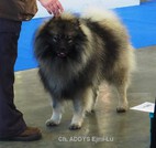 ADDYS Ejmi-Lu