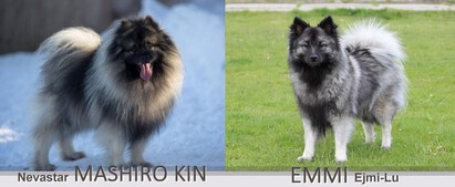 G Ejmi-Lu
