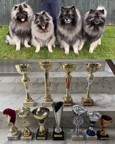 Ejmi-Lu Německ&yacute; &scaron;pic vlč&iacute; / Keeshond